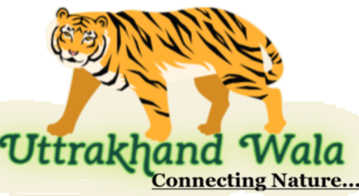 Uttrakhand Wala